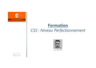 Formation
CSS : Niveau Perfectionnement
Une formation
Carl BRISON
 