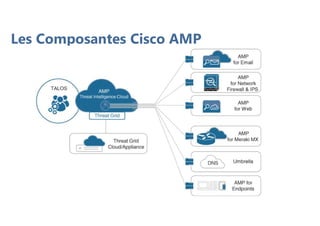 Les Composantes Cisco AMP
 