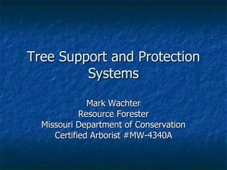 Tree Support and Protection Systems Mark Wachter Resource Forester Missouri Department of Conservation Certified Arborist #MW-4340A 