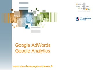 Google AdWords 
Google Analytics 
 