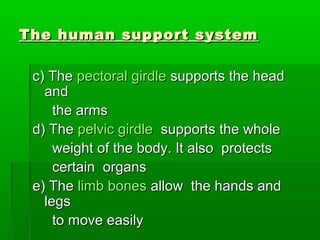 Support and movement[1] | PPT