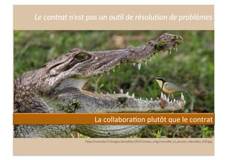 Cliquez  et  modiﬁez  le  .tre  
Le  contrat  n’est  pas  un  ou<l  de  résolu<on  de  problèmes  
h;ps://www.lpo.fr/images/actualites/2014/oiseau_mag/crocodile_et_pluvian_naturailes_650.jpg  
La	
  collabora,on	
  plutôt	
  que	
  le	
  contrat	
  
 