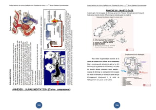 Institut Supérieur des Sciences Appliquées et de Technologie de Sousse-------2ème licence Appliquée Electromécanique   Institut Supérieur des Sciences Appliquées et de Technologie de Sousse-------2ème licence Appliquée Electromécanique



                                                                                                                                                           ANNEXE 09 : WASTE GATE
                                                                                                                       La waste gate c'est la soupape de décharge, qui permet d'évacuer le trop de pression lorsque le
                                                                                                                       turbo est en marche (c'est le sifflement qu'on entend quand on accélère).




                                                                                                                                Pour éviter l'augmentation excessive de la
                                                                                                                       vitesse de rotation de la turbine et du compresseur
                                                                                                                       (due à une plus grande pression des gaz) au fur et à
                                                                                                                       mesure qu'on augmente les tours-moteur, une valve
                                                                                                                       de sécurité devient nécessaire (aussi appelée :
                                                                                                                       soupape de décharge ou wastegate). Cette soupape
                                                                                                                       est située en dérivation, et envoie une partie des gaz
                                                                                                                       d'échappement        directement       à    la   sortie    de
                                                                                                                       l'échappement sans passer par la turbine.




     ANNEXE8 : SURALIMENTATION (Turbo- compresseur)




                                                       205                                                                                                                    206
 