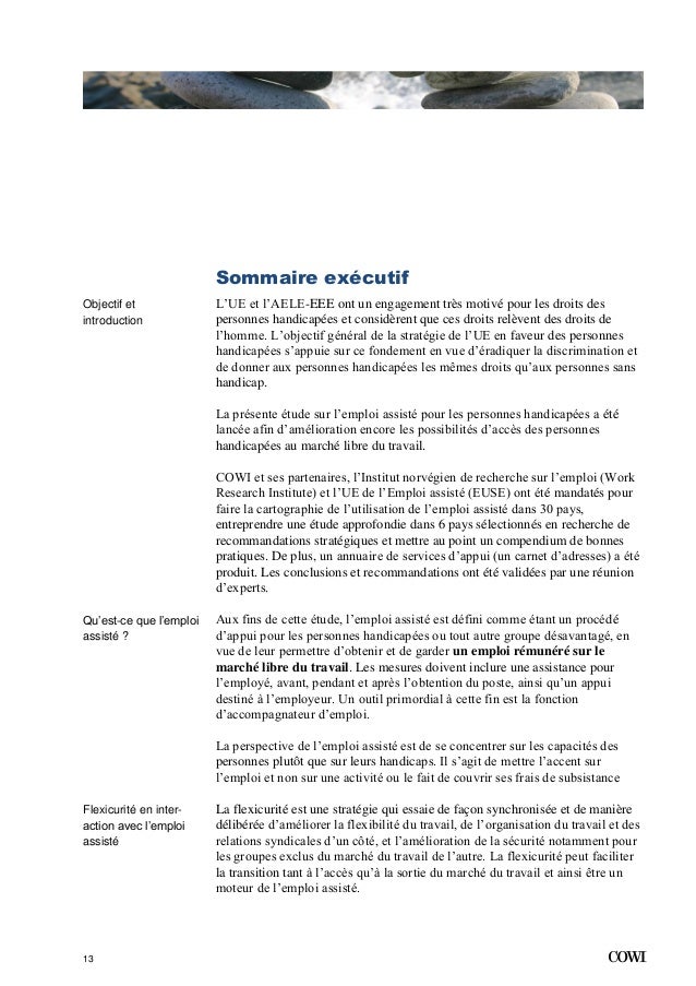 Supported Employment For People With Disabilities In The Eu