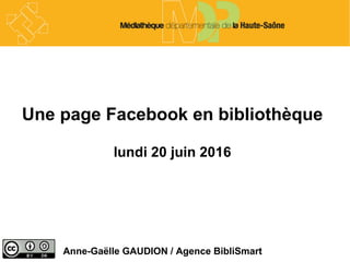 Une page Facebook en bibliothèque
lundi 20 juin 2016
Anne-Gaëlle GAUDION / Agence BibliSmart
 