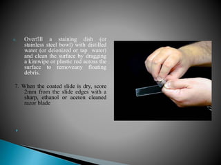 6. Overfill a staining dish (or
stainless steel bowl) with distilled
water (or deionized or tap water)
and clean the surface by dragging
a kimwipe or plastic rod across the
surface to removeany floating
debris.
7. When the coated slide is dry, score
2mm from the slide edges with a
sharp, ethanol or aceton cleaned
razor blade

 