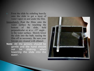 8. Frost the slide by exhaling heavily
onto the slide to get a layer of
water vapor on and under the film.
Immediately float the films onto the
water surface by touching the
bottom of the slide, held
perpendicular or at a ~15° angle ,
to the water surface. Slowly lower
the slide into the bath, teasing the
film off as necessary. Be sure your
forceps are cleaned with ethanol.
Note: All the actions should be
gentle and the hand should
not be shaking when
lowering the slide into the
water.
 
