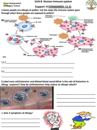 Human Immune System Worksheet