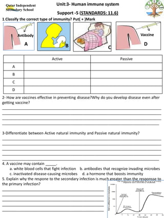 Immune system worksheet answer key