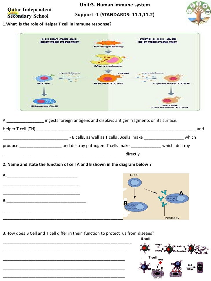 Support Worksheets