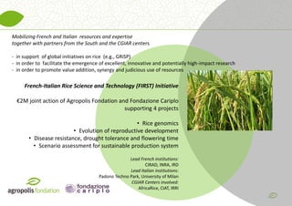 Supporting agricultural research for sustainable development
