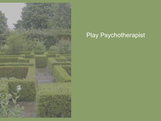 Play Psychotherapist 