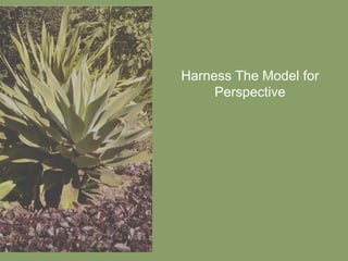 Harness The Model for Perspective 