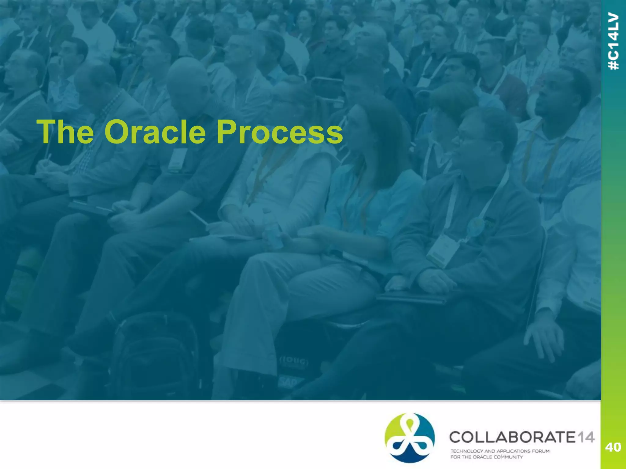 The Oracle Process
 