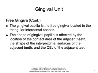 Free Gingiva (Cont.)
 The gingival papilla is the free gingiva located in the
triangular interdental spaces.
 The shape of gingival papilla is affected by the
location of the contact area of the adjacent teeth,
the shape of the interproximal surfaces of the
adjacent teeth, and the CEJ of the adjacent teeth.
Gingival Unit
11
Copyright © 2014 by Mosby, an imprint of Elsevier Inc.
Copyright © 2003 by Mosby, Inc., an affiliate of Elsevier Inc.
Previous editions copyrighted 1977, 1982, 1986, 1990, 1994, 1998.
 