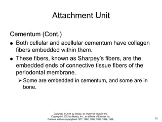 Cementum (Cont.)
 Both cellular and acellular cementum have collagen
fibers embedded within them.
 These fibers, known as Sharpey’s fibers, are the
embedded ends of connective tissue fibers of the
periodontal membrane.
Some are embedded in cementum, and some are in
bone.
Attachment Unit
33
Copyright © 2014 by Mosby, an imprint of Elsevier Inc.
Copyright © 2003 by Mosby, Inc., an affiliate of Elsevier Inc.
Previous editions copyrighted 1977, 1982, 1986, 1990, 1994, 1998.
 