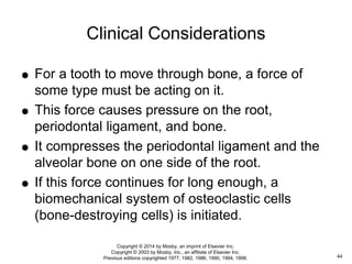  For a tooth to move through bone, a force of
some type must be acting on it.
 This force causes pressure on the root,
periodontal ligament, and bone.
 It compresses the periodontal ligament and the
alveolar bone on one side of the root.
 If this force continues for long enough, a
biomechanical system of osteoclastic cells
(bone-destroying cells) is initiated.
Clinical Considerations
44
Copyright © 2014 by Mosby, an imprint of Elsevier Inc.
Copyright © 2003 by Mosby, Inc., an affiliate of Elsevier Inc.
Previous editions copyrighted 1977, 1982, 1986, 1990, 1994, 1998.
 