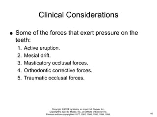  Some of the forces that exert pressure on the
teeth:
1. Active eruption.
2. Mesial drift.
3. Masticatory occlusal forces.
4. Orthodontic corrective forces.
5. Traumatic occlusal forces.
Clinical Considerations
46
Copyright © 2014 by Mosby, an imprint of Elsevier Inc.
Copyright © 2003 by Mosby, Inc., an affiliate of Elsevier Inc.
Previous editions copyrighted 1977, 1982, 1986, 1990, 1994, 1998.
 