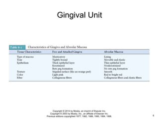Gingival Unit
6
Copyright © 2014 by Mosby, an imprint of Elsevier Inc.
Copyright © 2003 by Mosby, Inc., an affiliate of Elsevier Inc.
Previous editions copyrighted 1977, 1982, 1986, 1990, 1994, 1998.
 