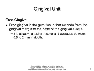 Free Gingiva
 Free gingiva is the gum tissue that extends from the
gingival margin to the base of the gingival sulcus.
It is usually light pink in color and averages between
0.5 to 2 mm in depth.
Gingival Unit
9
Copyright © 2014 by Mosby, an imprint of Elsevier Inc.
Copyright © 2003 by Mosby, Inc., an affiliate of Elsevier Inc.
Previous editions copyrighted 1977, 1982, 1986, 1990, 1994, 1998.
 