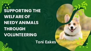 SUPPORTING THE
WELFARE OF
NEEDY ANIMALS
THROUGH
VOLUNTEERING
Toni Eakes
 