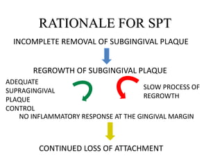 RATIONALE FOR SPT
INCOMPLETE REMOVAL OF SUBGINGIVAL PLAQUE
REGROWTH OF SUBGINGIVAL PLAQUE
NO INFLAMMATORY RESPONSE AT THE GINGIVAL MARGIN
ADEQUATE
SUPRAGINGIVAL
PLAQUE
CONTROL
CONTINUED LOSS OF ATTACHMENT
SLOW PROCESS OF
REGROWTH
 
