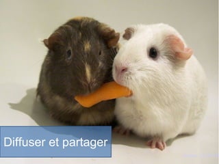 Diffuser et partager
Ryancr. CC-BY-NC
 