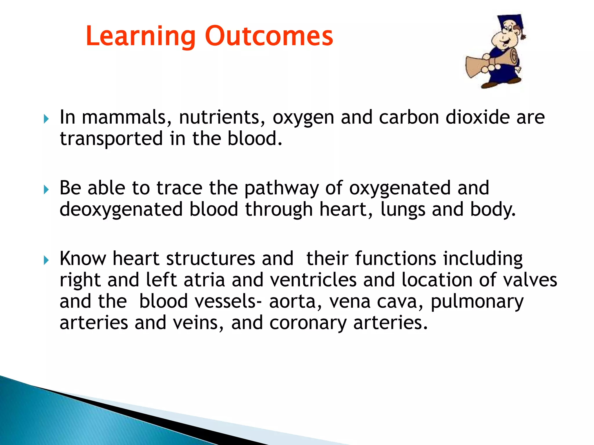 Support ppt circulation | PPTX