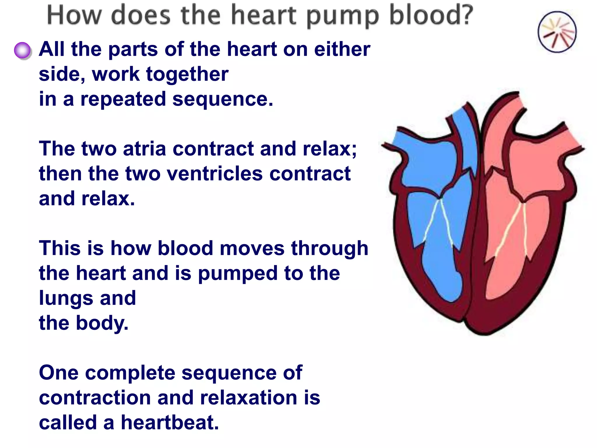 Support ppt circulation | PPT