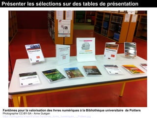 Fantômes pour la valorisation des livres numériques à la Bibliothèque universitaire de Poitiers
Photographie CC-BY-SA - An...