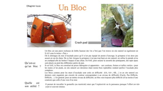 Qu’est-ce
qu’un bloc ?
Quelle est
son utilité ?
Un bloc est une paroi rocheuse de faible hauteur (de 1m a 5m) que l’on trouve en site naturel ou également en
S.A.E sous le terme « Pan ».
On le distingue du mur d’escalade parce qu’il n’est pas équipé de points d’ancrage, le grimpeur n’est alors pas
assuré en cas de chute. De ce fait, lorsque le grimpeur n’est pas trop haut en site naturel, on utilise la parade et/ou
un crashpad afin de limiter l’impact d’une chute. En SAE, pour assurer la sécurité des pratiquants, des tapis épais
sont placés au pied des différentes partie du pan.
Si en SAE, le bloc est constitué de prises fabriquées et apparentes - aux couleurs, formes et tailles variées - pour
les mains et les pieds, en site naturel ces dernières étant moins bien repérables rendent parfois l’escalade plus
complexe.
Les blocs comme pour les murs d’escalade sont cotés en difficulté (6A, 6A+, 6B,…) et en site naturel ces
derniers sont organisés par circuits de couleur correspondant à un niveau de difficulté (Facile, Pas Difficile,
Difficile…). En général, pour un même niveau de difficulté, un bloc sera toujours plus difficile (d’au moins d’une
cotation) que celle d’une voie d’un mur.
Il permet de travailler la gestuelle (ou motricité) ainsi que l’explosivité ou la puissance puisque l’effort est très
court et souvent intense.
Crash pad
Ollagnier lucas
Un Bloc
 