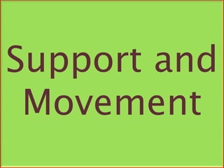 Support and
Movement
 