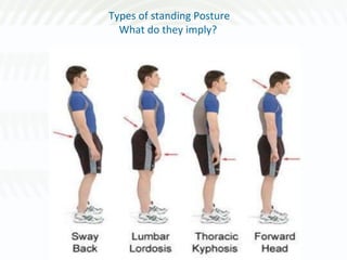Standing Posture Examples Support staff development programme finishing skills s | PPT