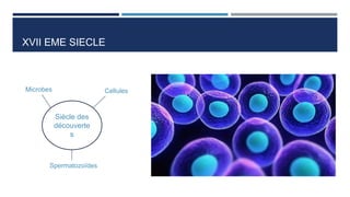 XVII EME SIECLE
Siècle des
découverte
s
Microbes Cellules
Spermatozoïdes
 