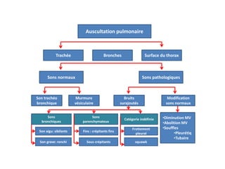 Auscultation pulmonaire
Trachée Surface du thorax
Son trachéo
bronchique
Murmure
vésiculaire
Sons pathologiques
Bronches
Sons normaux
Bruits
surajoutés
Modification
sons normaux
•Diminution MV
•Abolition MV
•Souffles
•Pleurétiq
•Tubaire
Sons
bronchiques
Sons
parenchymateux
Catégorie indéfinie
Son aigu: sibilants Fins : crépitants fins
Sous crépitants
Son grave: ronchi
Frottement
pleural
squawk
 