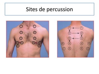 Sites de percussion
 