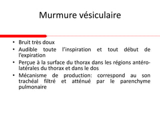 Murmure vésiculaire
• Bruit très doux
• Audible toute l’inspiration et tout début de
l’expiration
• Perçue à la surface du thorax dans les régions antéro-
latérales du thorax et dans le dos
• Mécanisme de production: correspond au son
trachéal filtré et atténué par le parenchyme
pulmonaire
 