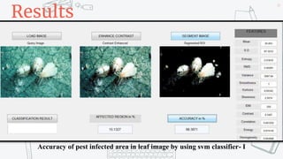 49
Results
Accuracy of pest infected area in leaf image by using svm classifier- I
 