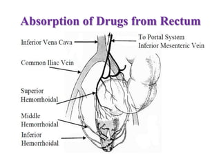 Absorption of Drugs from Rectum
 