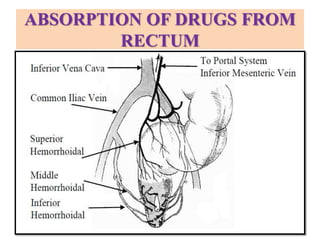 ABSORPTION OF DRUGS FROM
RECTUM
 