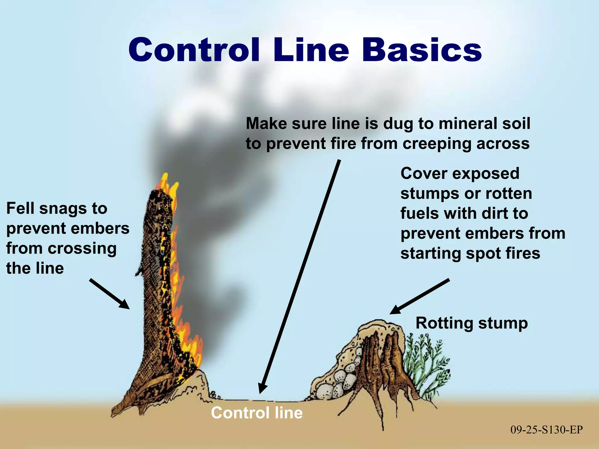 09-25-S130-EP
Control Line Basics
Rotting stump
Cover exposed
stumps or rotten
fuels with dirt to
prevent embers from
starting spot fires
Control line
09-25-S130-EP
Fell snags to
prevent embers
from crossing
the line
Make sure line is dug to mineral soil
to prevent fire from creeping across
 