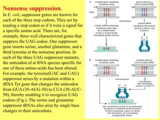 Suppressor mutation | PPTX