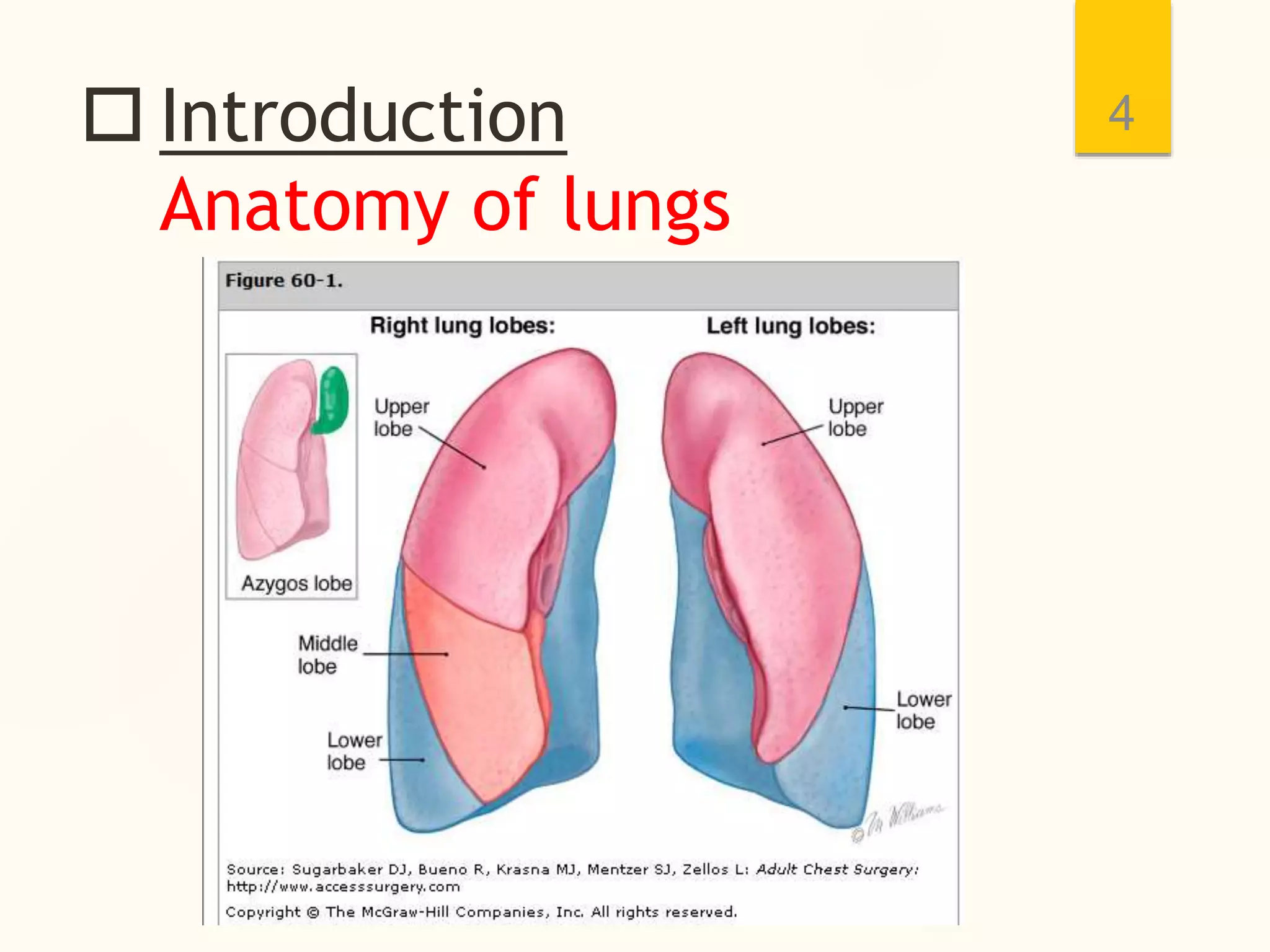  Introduction
Anatomy of lungs
4
 