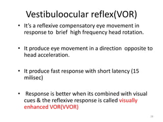 Vestibuloocular reflex(VOR)
• It’s a reflexive compensatory eye movement in
response to brief high frequency head rotation.
• It produce eye movement in a direction opposite to
head acceleration.
• It produce fast response with short latency (15
milisec)
• Response is better when its combined with visual
cues & the reflexive response is called visually
enhanced VOR(VVOR)
28
 