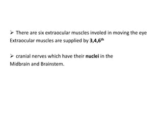  There are six extraocular muscles involed in moving the eye
Extraocular muscles are supplied by 3,4,6th
 cranial nerves which have their nuclei in the
Midbrain and Brainstem.
 