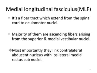 Medial longitudinal fasciculus(MLF)
• It’s a fiber tract which extend from the spinal
cord to oculomotor nuclei.
• Majority of them are ascending fibers arising
from the superior & medial vestibular nuclei.
Most importantly they link contralateral
abducent nucleus with ipsilateral medial
rectus sub nuclei.
44
 
