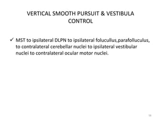 VERTICAL SMOOTH PURSUIT & VESTIBULA
CONTROL
 MST to ipsilateral DLPN to ipsilateral folucullus,parafolluculus,
to contralateral cerebellar nuclei to ipsilateral vestibular
nuclei to contralateral ocular motor nuclei.
58
 