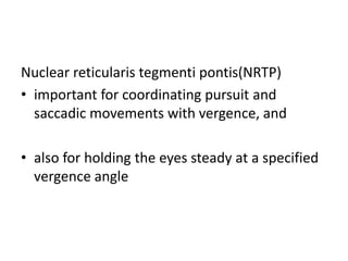 Nuclear reticularis tegmenti pontis(NRTP)
• important for coordinating pursuit and
saccadic movements with vergence, and
• also for holding the eyes steady at a specified
vergence angle
 