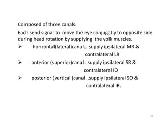 Composed of three canals.
Each send signal to move the eye conjugatly to opposite side
during head rotation by supplying the yolk muscles.
 horizontal(lateral)canal….supply ipsilateral MR &
contralateral LR
 anterior (superior)canal ..supply ipsilateral SR &
contralateral IO
 posterior (vertical )canal ..supply ipsilateral SO &
contralateral IR.
67
 