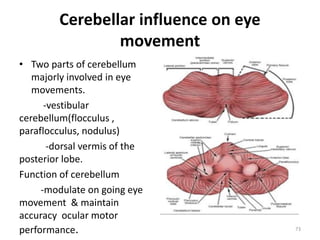 Cerebellar influence on eye
movement
• Two parts of cerebellum
majorly involved in eye
movements.
-vestibular
cerebellum(flocculus ,
paraflocculus, nodulus)
-dorsal vermis of the
posterior lobe.
Function of cerebellum
-modulate on going eye
movement & maintain
accuracy ocular motor
performance. 73
 